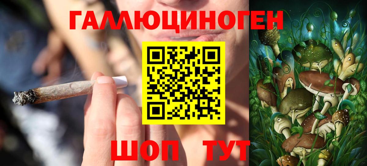 Псилоцибиновые грибы Magic Shrooms Артём